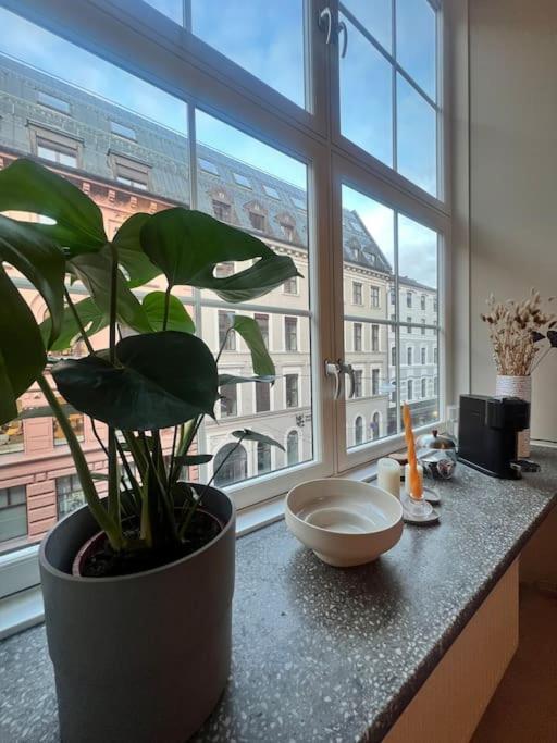 Koselig Leilighet I Sentrum Av Oslo Med Byutsikt! Εξωτερικό φωτογραφία